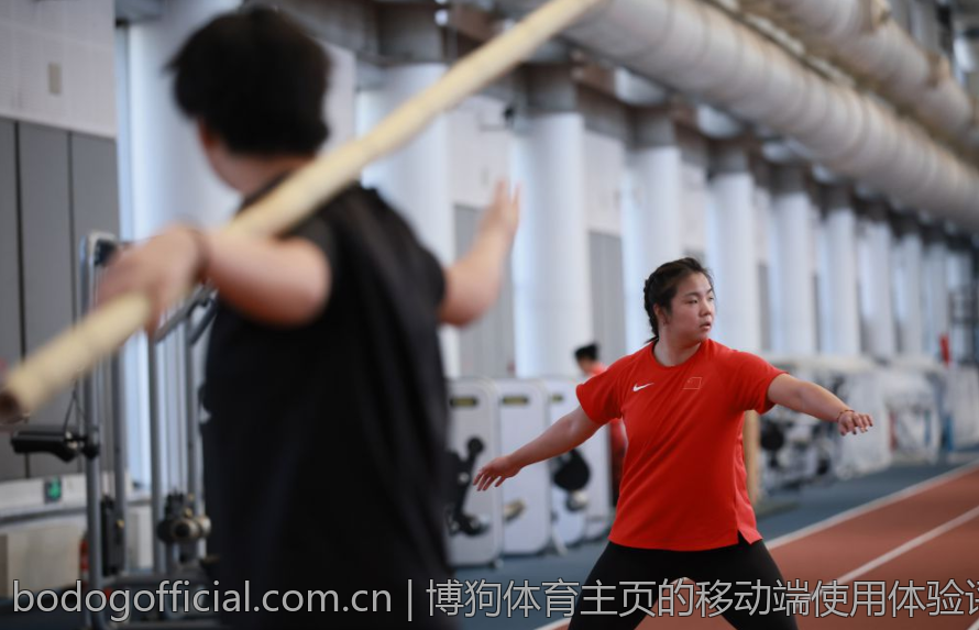 博狗体育主页的移动端使用体验评测