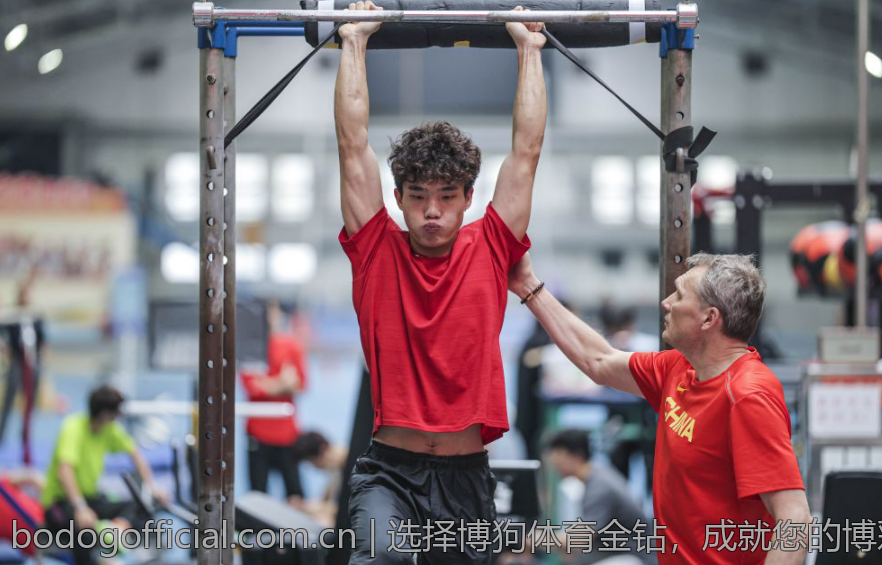 选择博狗体育金钻，成就您的博彩梦想