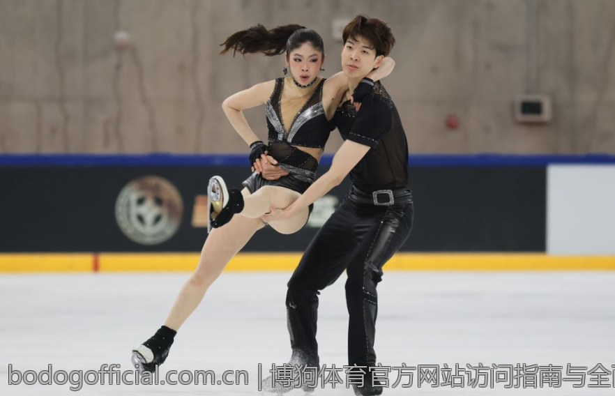 博狗体育官方网站访问指南与全面解读
