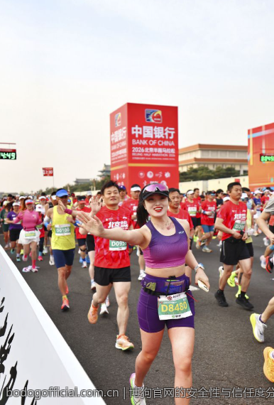 博狗官网的安全性与信任度分析