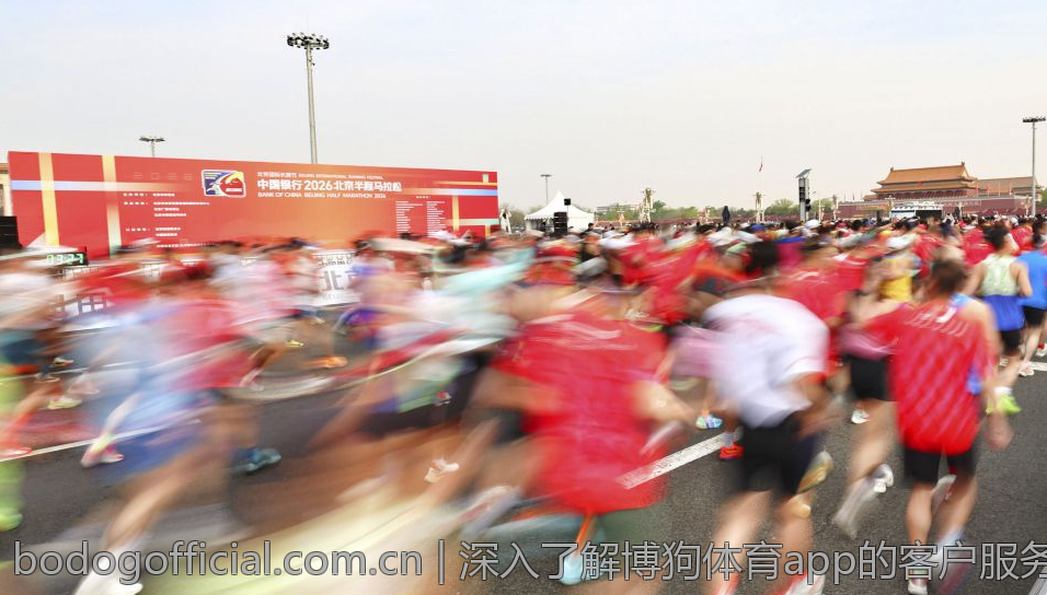 深入了解博狗体育app的客户服务体验