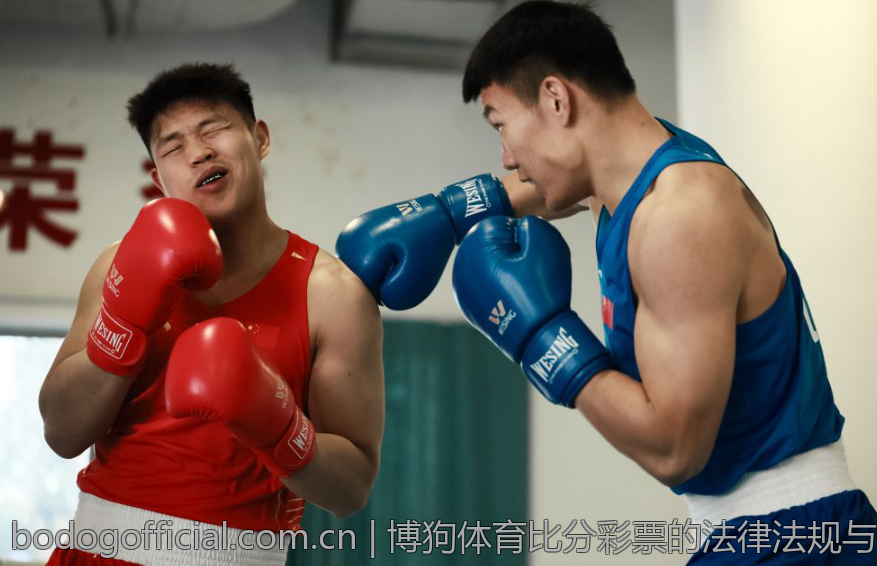 博狗体育比分彩票的法律法规与合规性